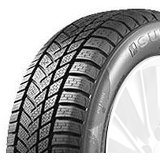 Sunny Wintermax NW211