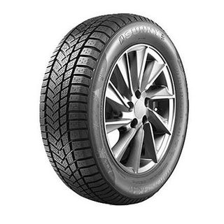 Sunny Wintermax NW211