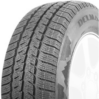 Delmax Snow Hunter Van