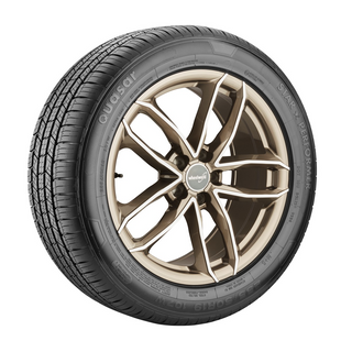 Star Performer Quasar