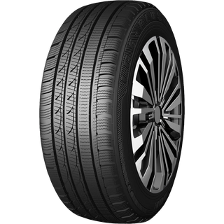 Roadking Ice Plus S210