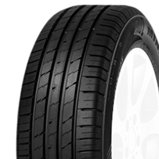 Minerva EcoSpeed 2 SUV 235/55 R20 102 W, Sommerreifen