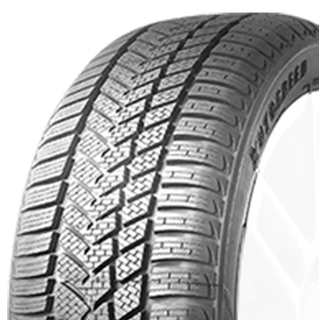 Autogreen WinterMax A1 WL5 255/40 R19 100 V, Winterreifen