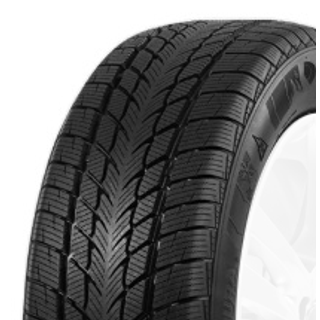 Davanti Wintoura 205/60 R16 96 H, Winterreifen