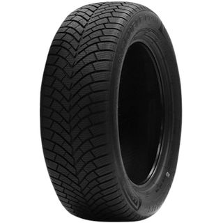 Double Coin DASP Plus