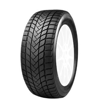 Mastersteel WinterPlus