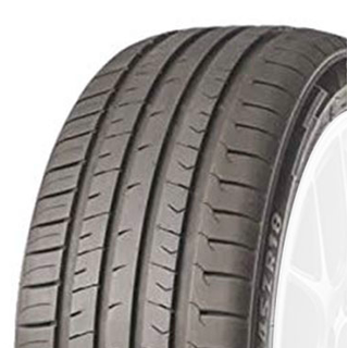 Sunwide RS One 205/55 R17 95 W, Sommerreifen