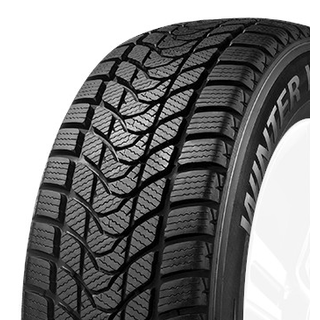 Delinte Winter WD1 165/70 R14 81 T, Winterreifen