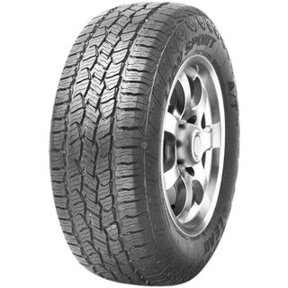 Leao Lion Sport AT100