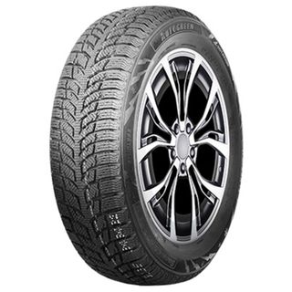 Autogreen SnowChaser 2 AW08