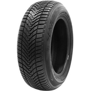 Sentury-Landsail SeasonDragon 2