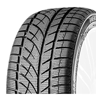 Evergreen EW 66 255/40 R19 100 V, Winterreifen