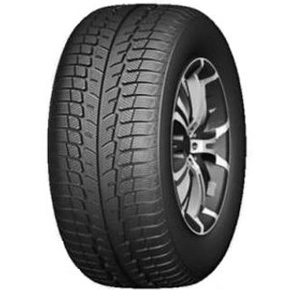 Lanvigator Catchsnow