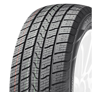 Royal Black Royal Van AS