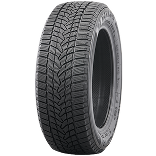 Nankang Ice Activa Ice 2