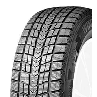 Roadstone Winguard Ice SUV